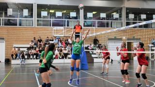 Final Voleibol Veterinaria-Derecho